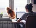 Öffnen Modul 11: Wer profitiert von der Arbeit im Homeoffice?