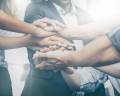 Öffnen Modul 13: Kooperation, Klima und Zusammenhalt im Team fördern